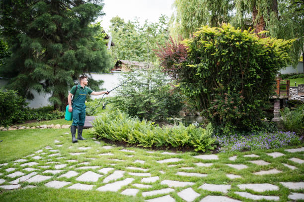 Best Residential Pest Control  in Tustin, CA