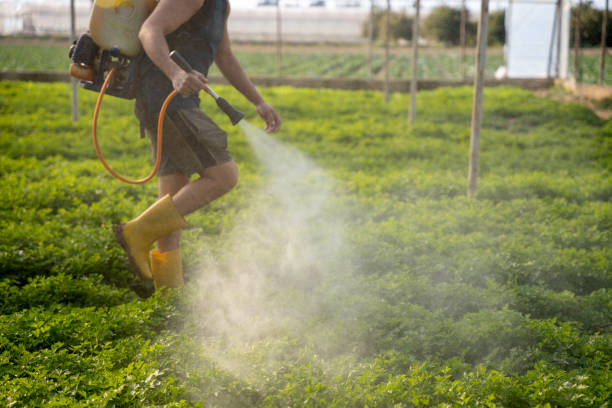 Pest Control Cost in Tustin, CA