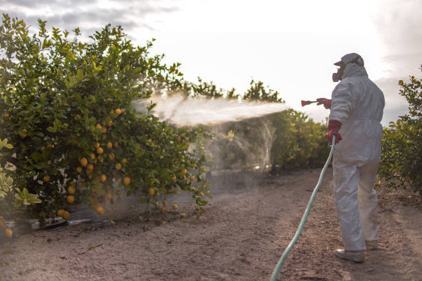 Best Affordable Pest Control Services  in Tustin, CA